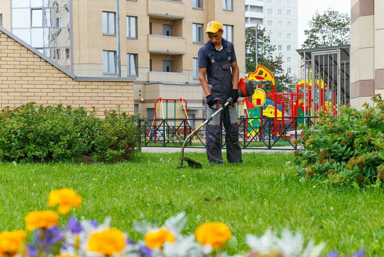Благоустройство строительной площадки. Озеленение и уборка территорий. Реконструкция зеленых насаждений. Озеленение спб. Рабочий по благоустройству территории.