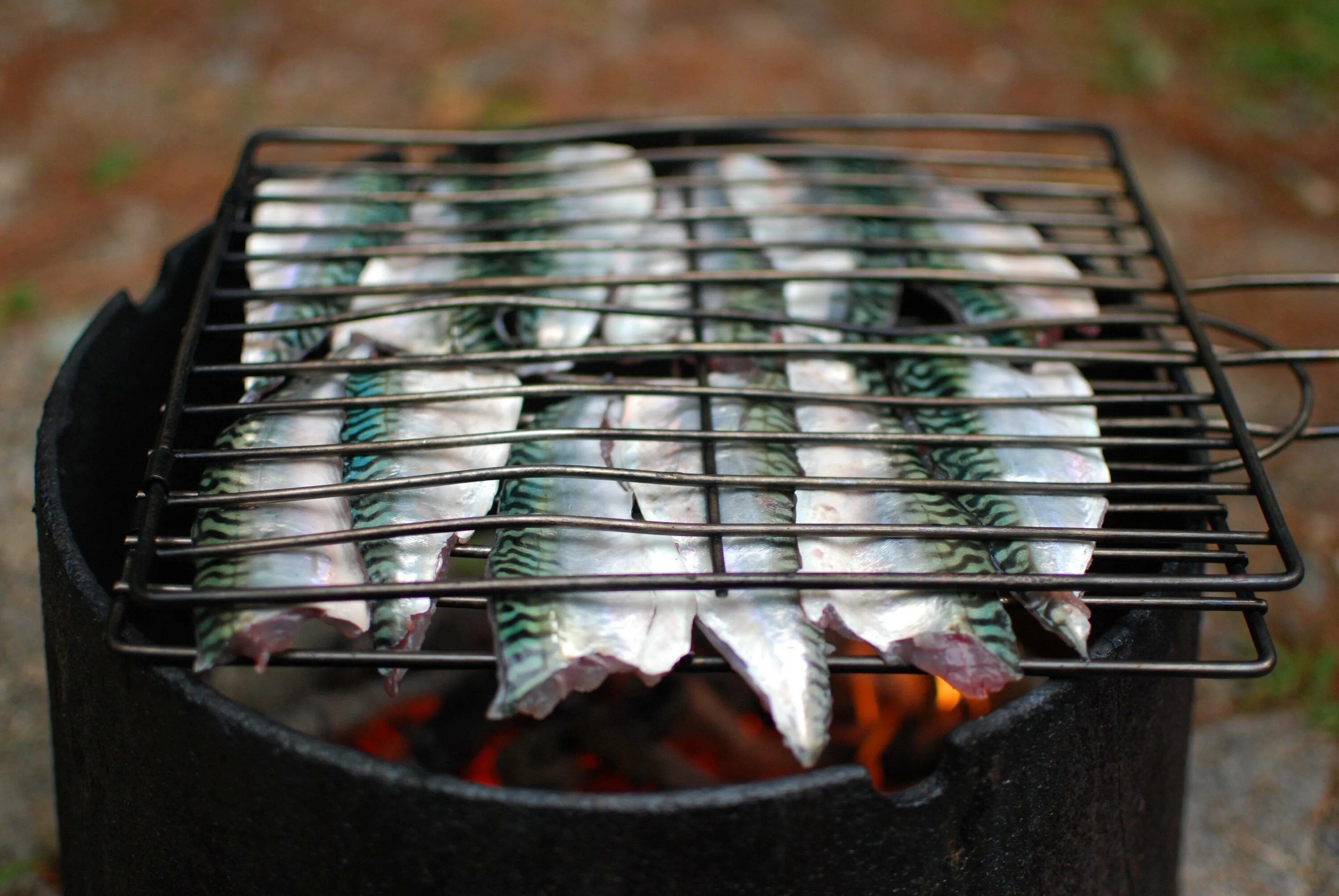 Маринад для рыбы на мангале на решетке