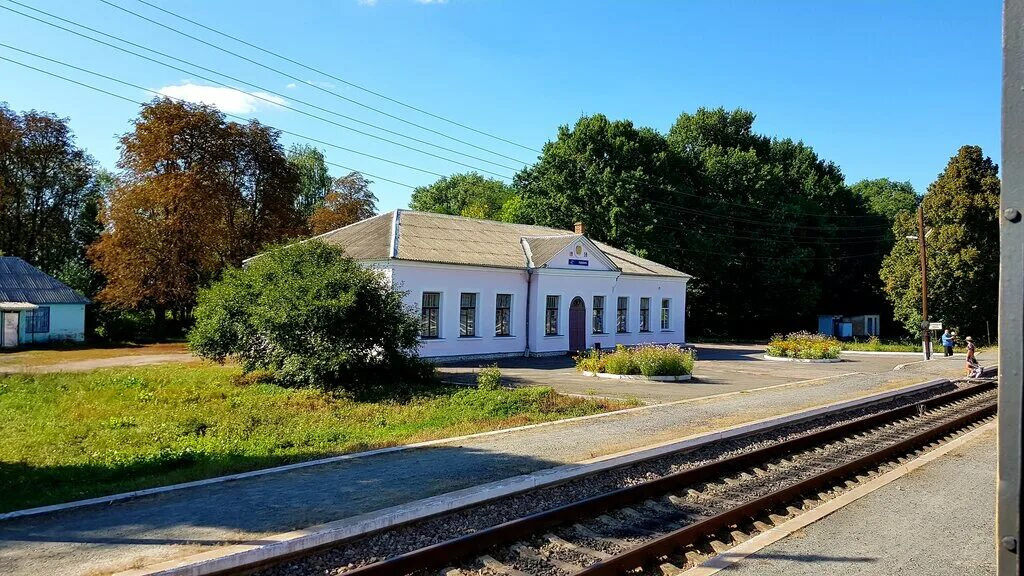 город репки. ж. репки черниговской области война. чернигов поселок репки. чернигов поселок репки.