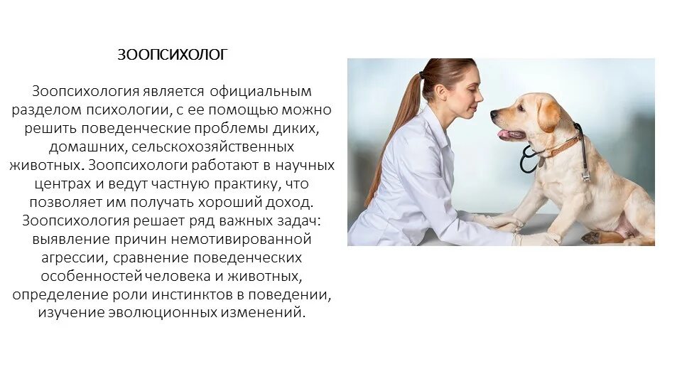 Зоопсихолог профессия. Зоопсихологи отзывы. Зоопсихологи отзывы. Психолог для животных профессия. Зоопсихолог для кошек.