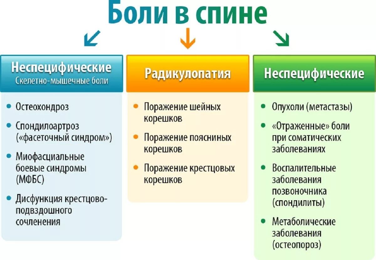 Ноющие боли в спине причины