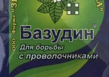 Базудин