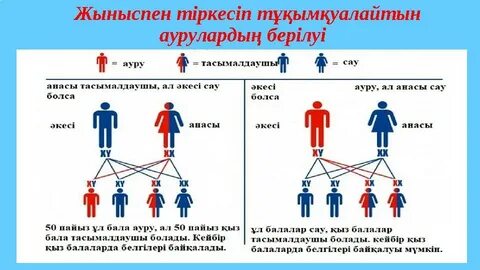 Жезөкшелік html қосыңыз