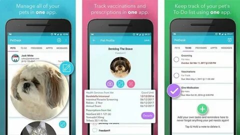 Your pet перевод