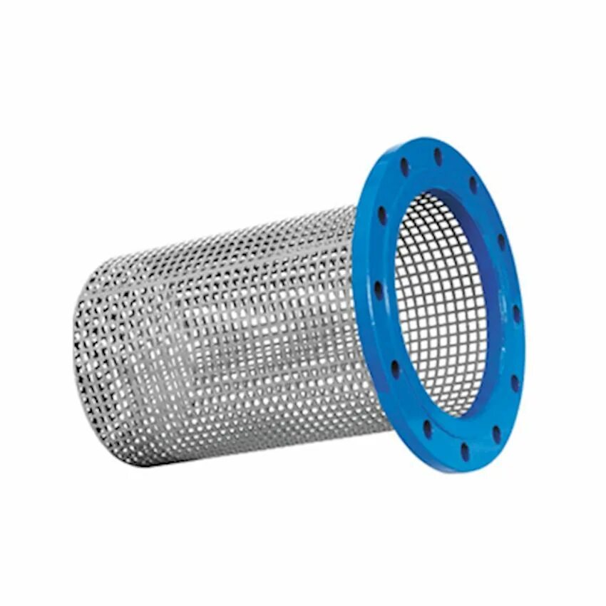 Фильтр сетчатый всасывающий 10-80. Ps0250 сетчатый фильтр 50 Mesh Poly Strainer Blue. Фильтр забора воды на всас 300. Фильтр сеточный Strainer по типу FL 6.06.