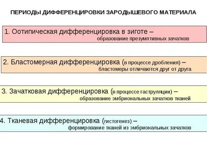 Признаки дифференцировки клеток зародыша