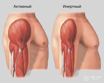 Причины слабых мышц