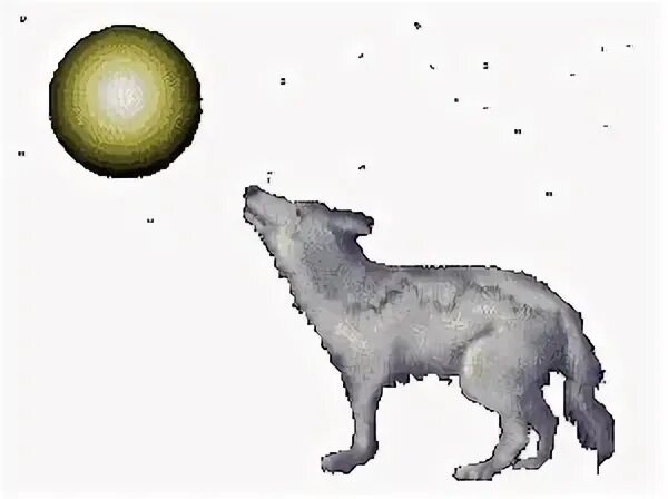 Wolf animated