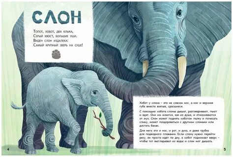 Они такие разные книга