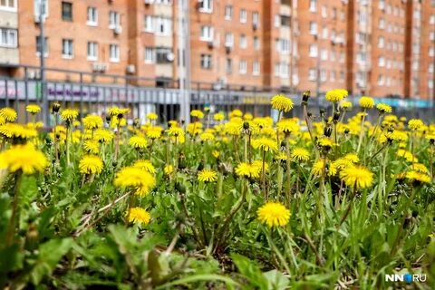 Прохладная солнечная погода