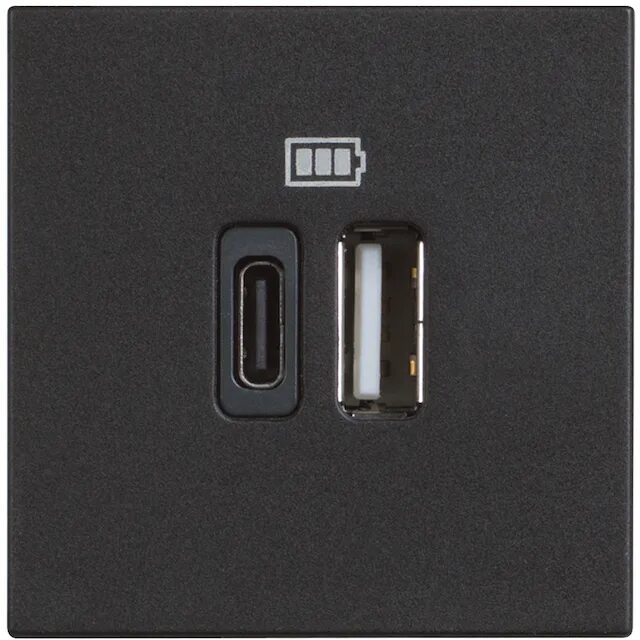 Usb розетка с выключателем. Bt-rg4287c2 usb charger. usb i c розетка bticino. jung usb type c розетка.