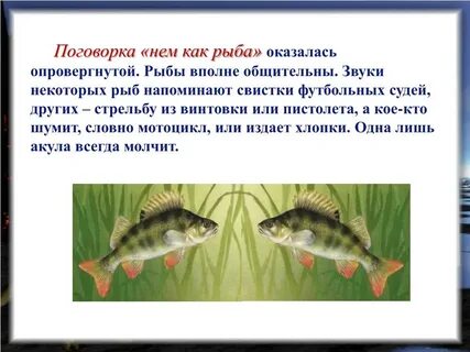 Рыбки пословицы