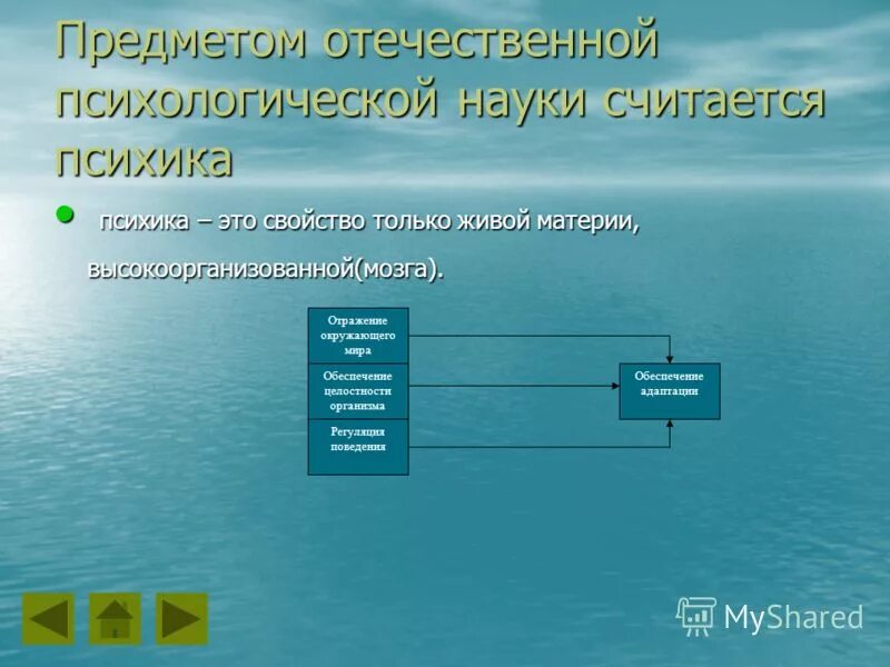 предмет психологии личности как науки
