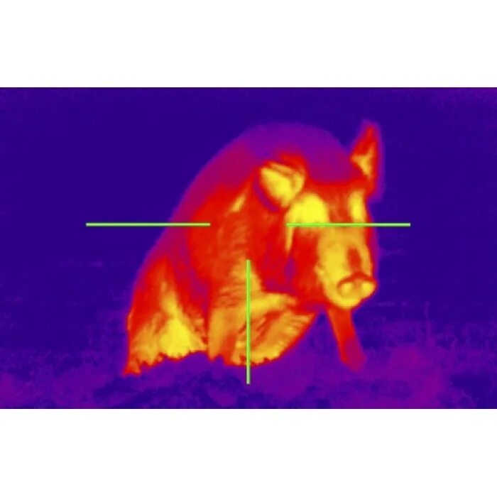 Кабан тепловизор. Прицел ночного видения с тепловизором. Прицелы тепловизоры для охоты вид. Левенхук тепловизор прицел. Тепловизор нит8.