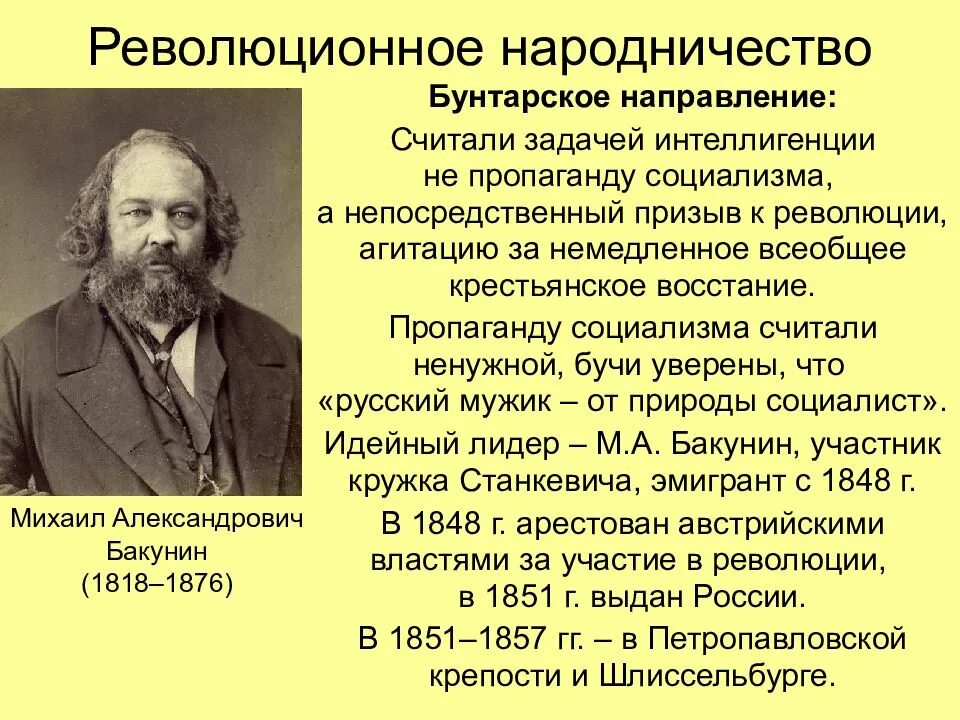 Революционное общественное движение в россии. Лидеры народников 1860-1870. Движение народничество 1870 Лидеры. Основные идеи революционного народничества кратко.