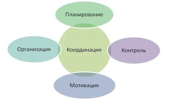 Функции менеджмента контроль и координация. Функции управления мотивация контроль организация. функции менеджмента планирование организация мотивация контроль. планирование организация мотивация контроль координация. планировани ерганизация мотивация и контроль.