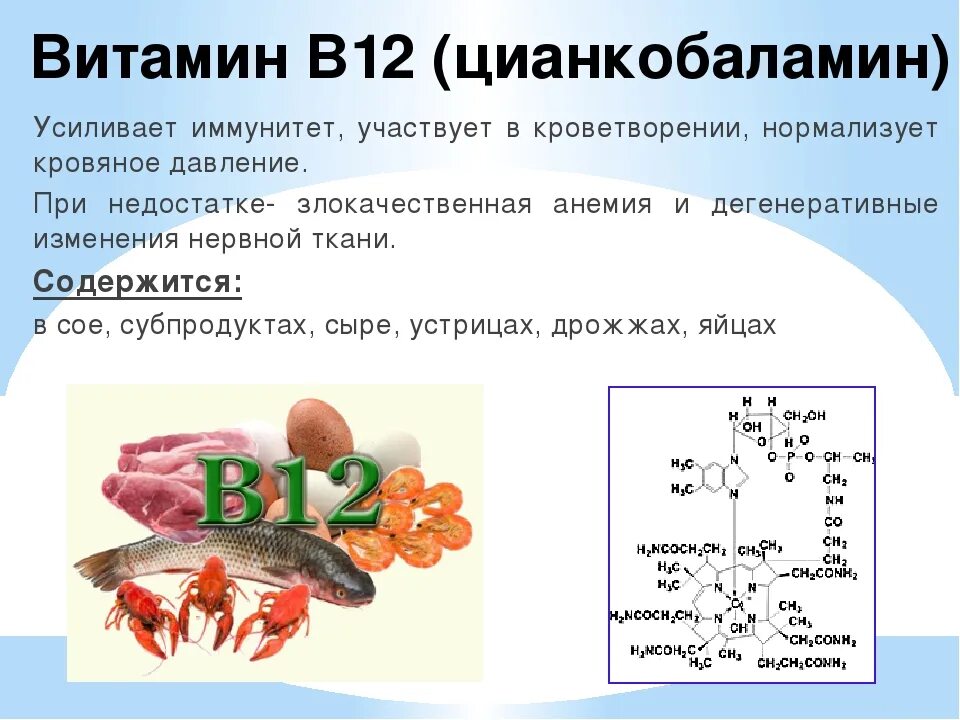 Витамин в повышение в крови. Витамин b12 функции в организме человека. Функции витамина б12 в организме человека. Витамин в12 цианокобаламин функции. Микроэлемент необходимый для функционирования витамина в12.