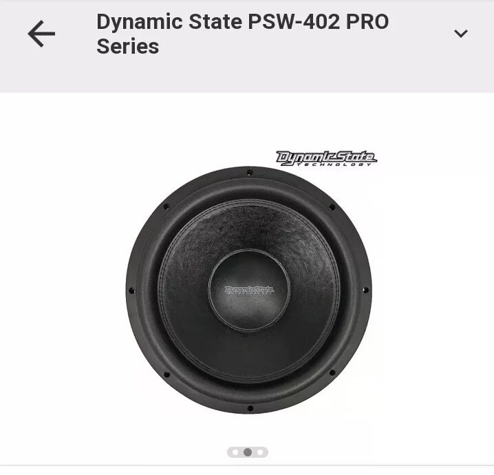 Dynamic State psw402pro короб. Сабвуфер динамик Стейт 40. Самбуфер динамик Стэйт PSV 402 катушка. 15 Сабвуфер динамик Стейт psw422.