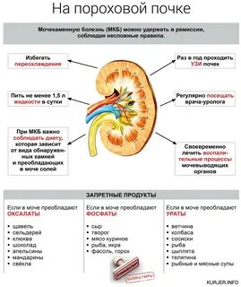 Мочекаменная болезнь почек: виды лечения + профилактика - "Университетская Библи