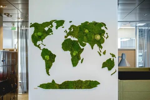 Мох карт