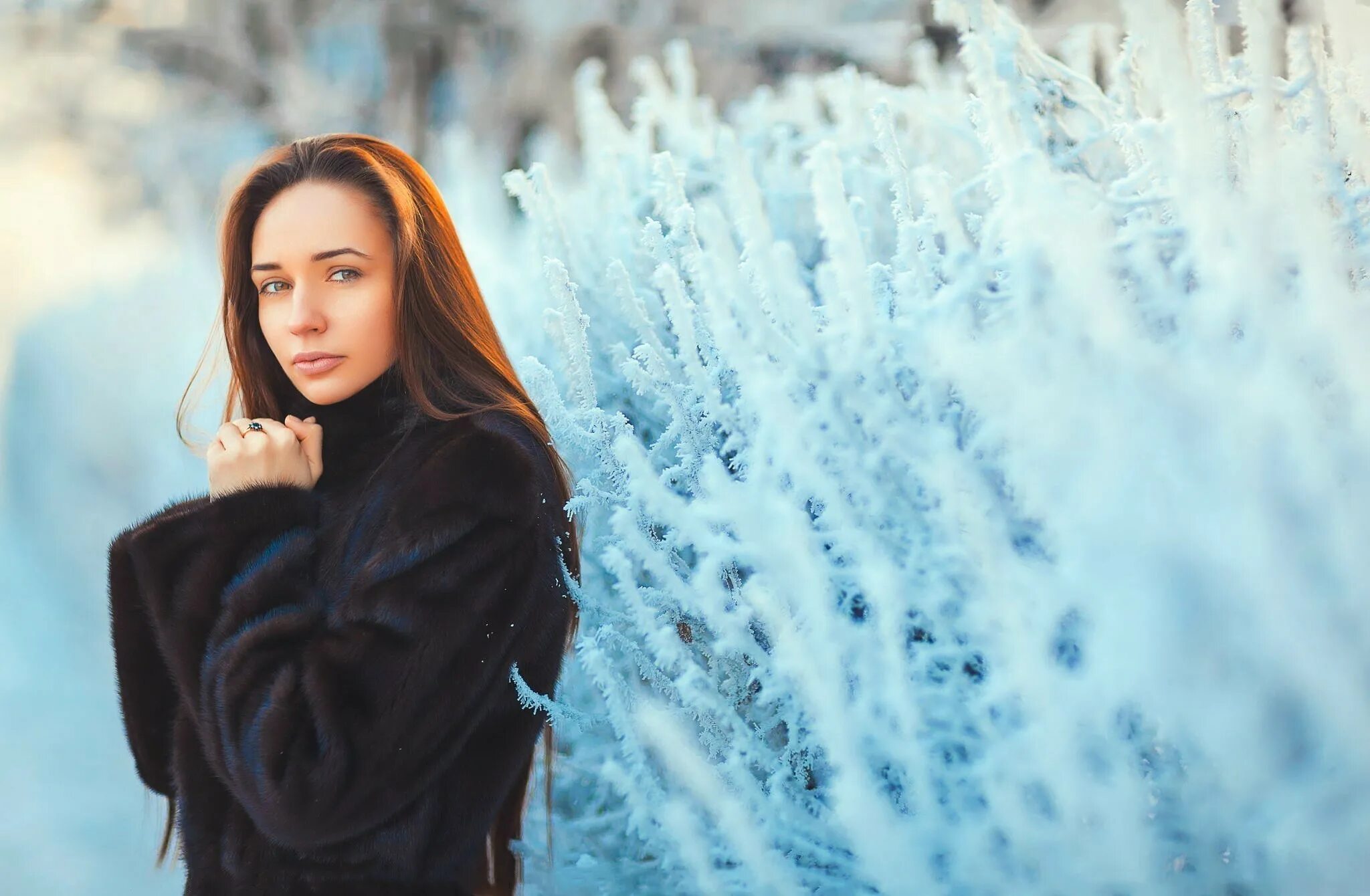 Snow model