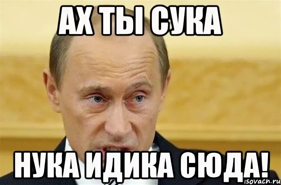 Дура блять сука. Ах ты Мем. Эх Мем. Эх ты. Ах ты картинки.