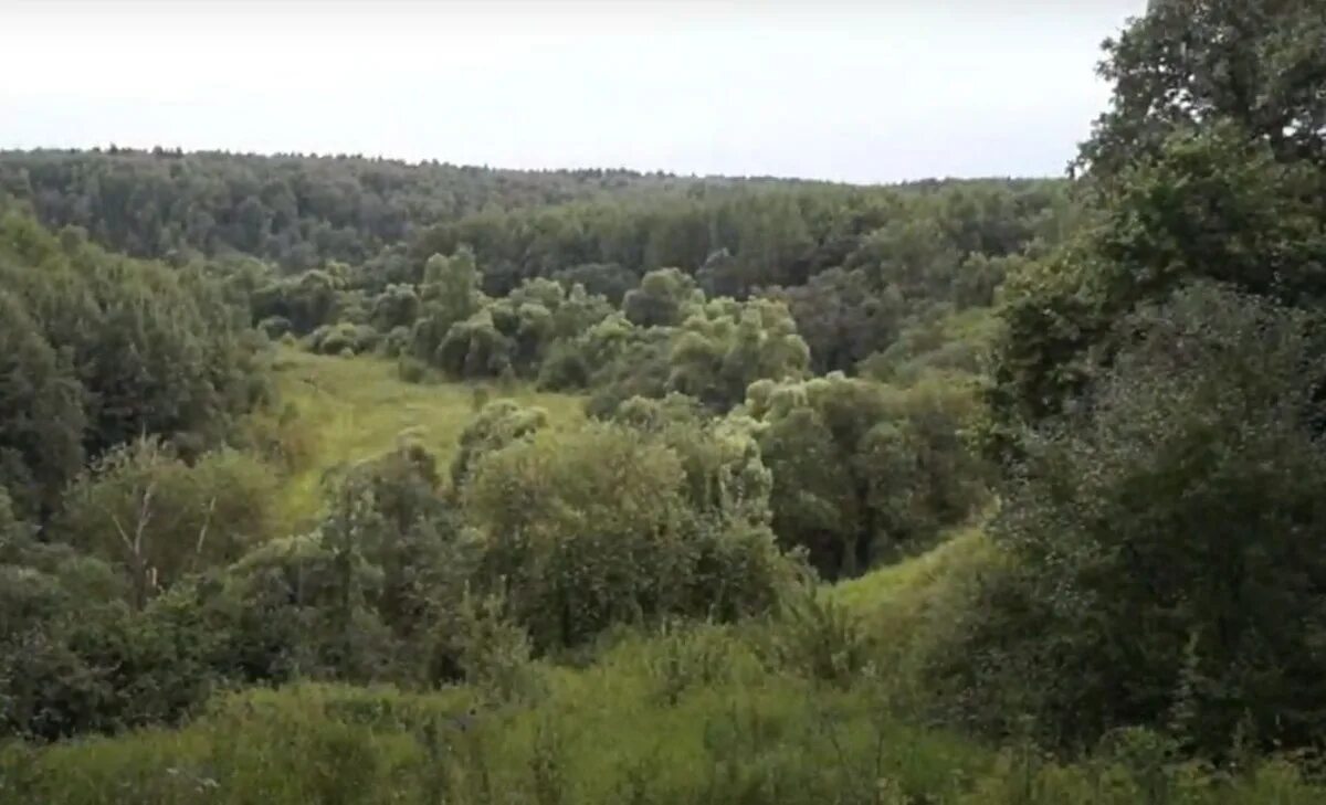 Деревня луковня подольск. Городище луковня подольск. деревня луковня подольский район. городище луковня и руины подольского моря. луковня 8 подольский район.