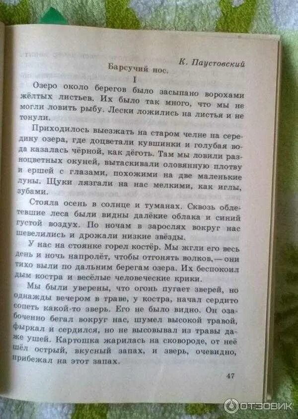Барсучий нос читать текст. Паустовский барсучий нос книга.