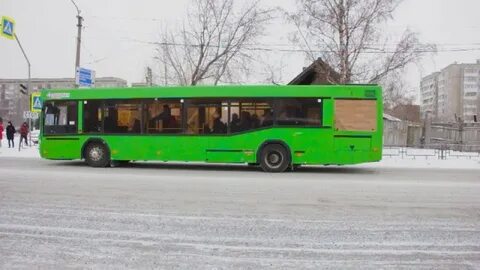 Оса автобусы