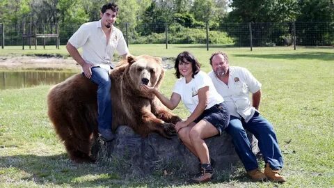 Pet bear