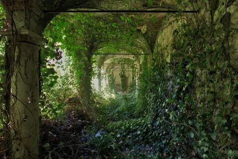 Overgrown