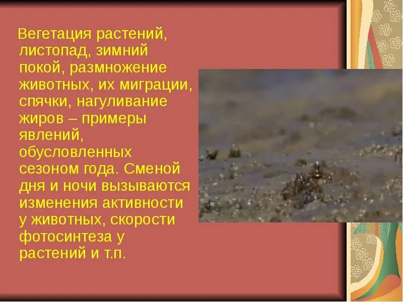 Вегетация что это. Вегетация растений что это такое. вегетация в биологии это. вегетация пример. когда происходит вегетация у растений.