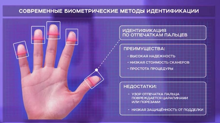 Имеет два развитых пальца. Современные биометрические методы идентификации. Современные биометрические системы отождествления человека. Биометрические методы аутентификации. Методы идентификации человека.