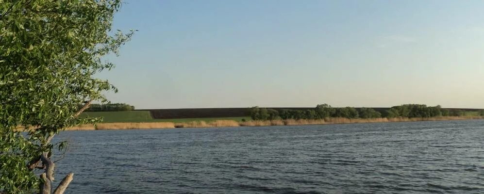 Соборная гора плес. Плес гравкарьер. Белый плес белгородская область. Плес золотая осень. Белый плес белгородская область.