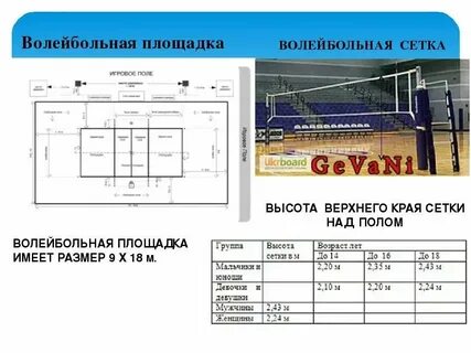 Сколько высота волейбольной сетки для женщин