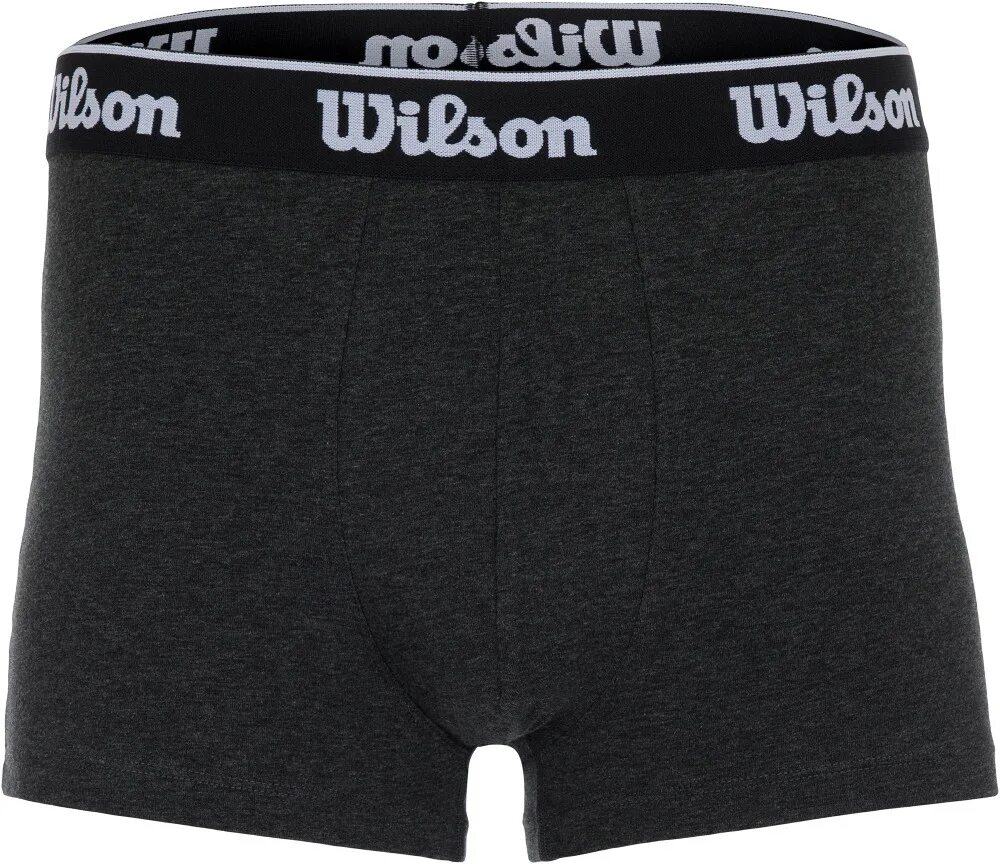 Трусы мужские Wilson. Трусы мужские Wilson, 2 шт. Арт. Wcsb0212x. Плавки Wilson мужские. Трусы Wilson l и XL.