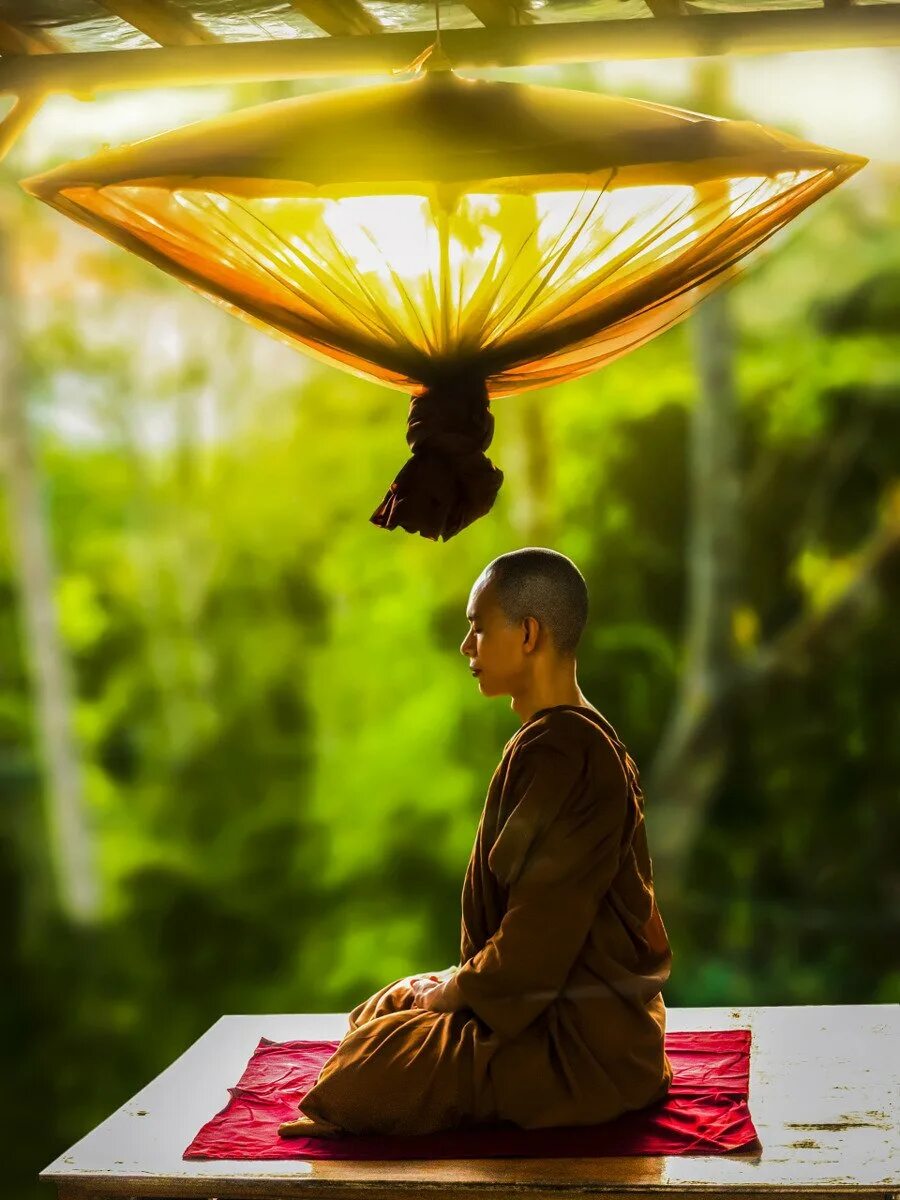 Дзен. Будда Тхеравада. Будда медитирует. Буддийский монах Тхеравада. Буддистский монах медитирует.