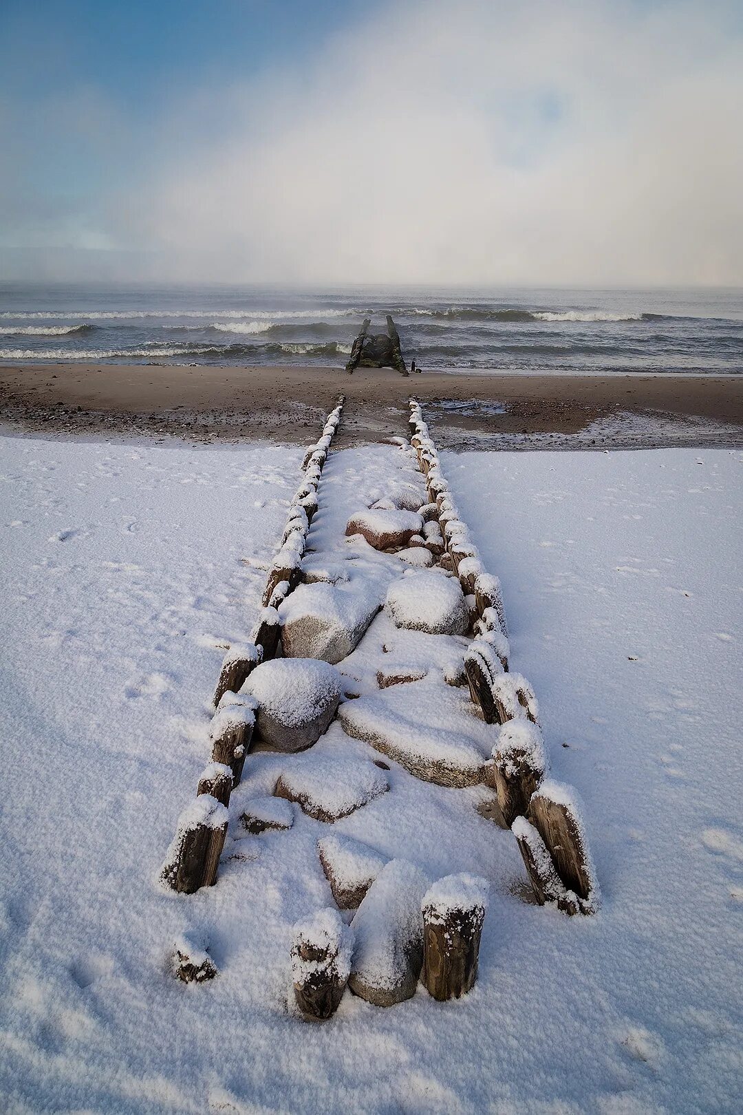 Ёлка в снегу на побережье балтики фото. Балтика море зеленоградск зима. Балтика зимой пустынна и угрюма. Море зимой куршская коса. Балтика зимой пустынна и угрюма.