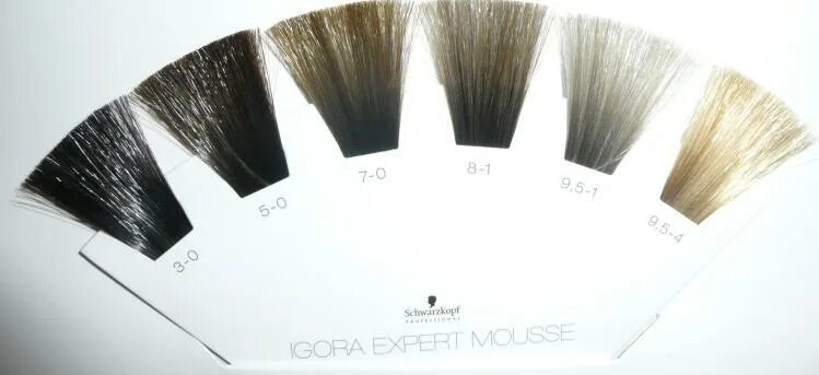 Игора оттеночный. Schwarzkopf professional Igora Expert Mousse палитра. Мусс для волос шварцкопф игора палитра цветов. Тонирующий мусс Schwarzkopf professional Igora Expert Mousse. Шварцкопф мусс тонирующий палитра.