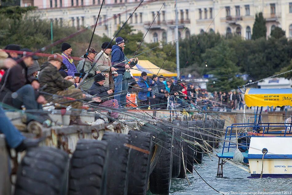 Ловим рыбу в крыму. Ялтинская набережная рыбалка. Рыбаки в Ялте на набережной. Севастополь рыболовство. Рыбный промысел в Крыму.