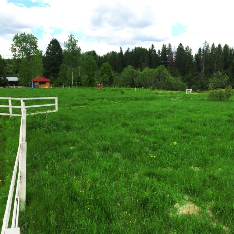 Купить участок 16. Космодемьянский Рузский район. Космодемьянский (посёлок). Мемориал поселок Космодемьянский Рузского района. 15 Соток у леса.