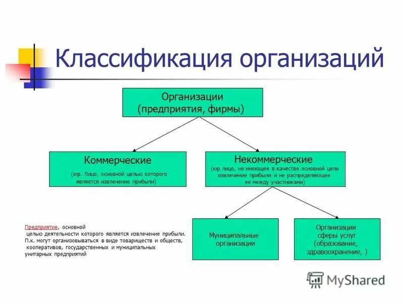 Функции коммерческого юридического лица