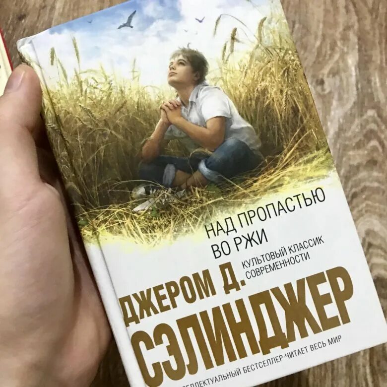 Во ржи книга краткое содержание. Джером Сэлинджер над пропастью во ржи. Джэром Сэлинджер "над пропастью во ржи". Иллюстрации к роману Сэлинджера над пропастью во ржи. Сэлинджер над пропастью во ржи обложка.