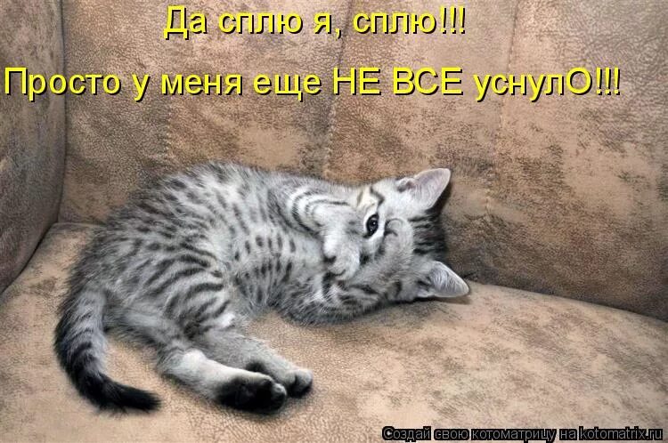 Спи быстрее картинки. Открытки я спать. спите уже картинки прикольные. спать картинки прикольные. я уже сплю.