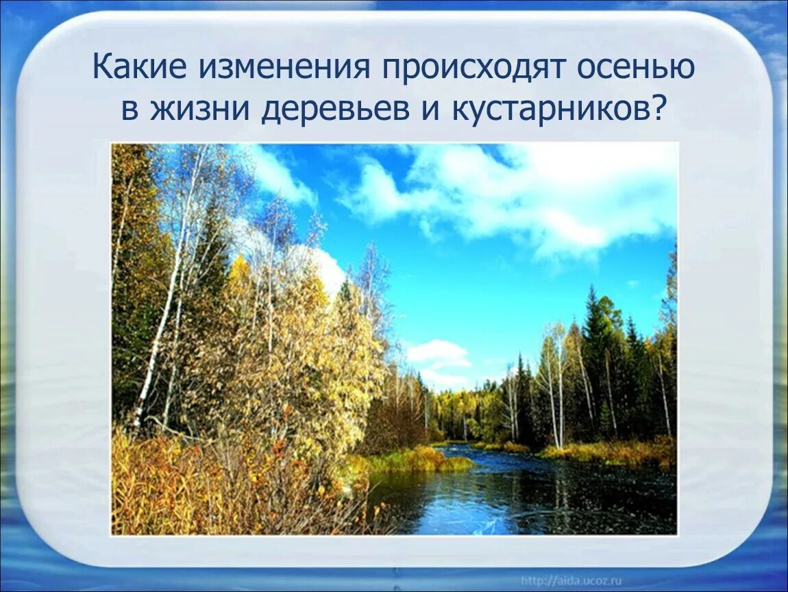 Какие изменения происходят в литературе. Окружающий мир осень. В гости к осени 2 класс окружающий мир презентация. Проект по окружающему миру осень. Какие изменения происходят в жизни.