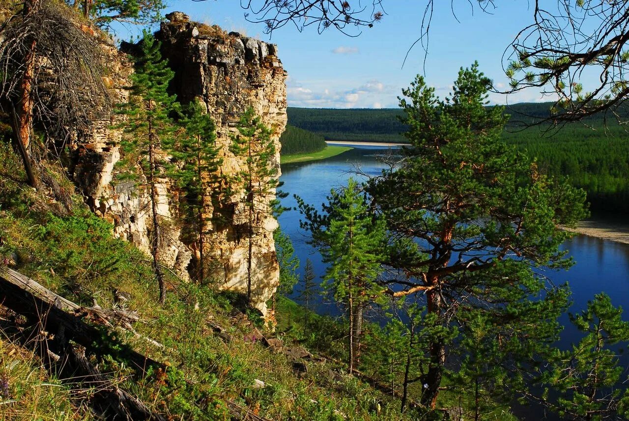 Чульман на неделю. Река чульман якутия. чульман (посёлок городского типа). нерюнгри природа. природа амги.
