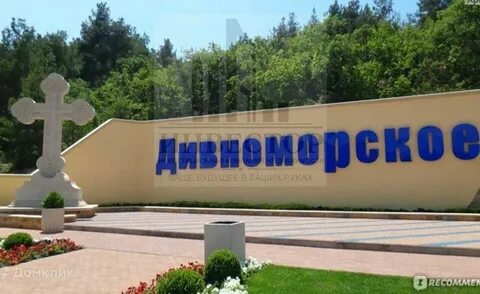 Куренок дивноморское