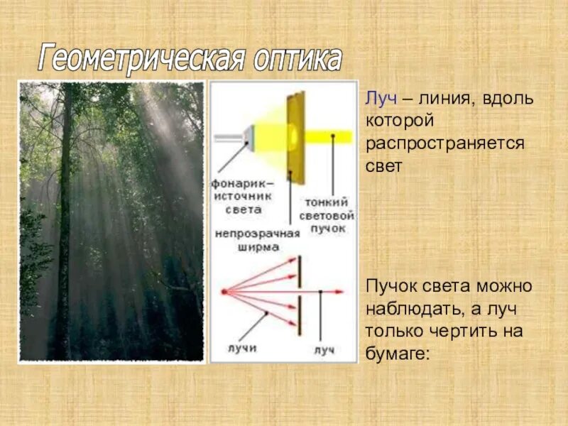 Источники света распространение света. Световой Луч это линия вдоль которой распространяется свет. Прямолинейное распространение света. Источники света распространение света для презентации. Как распространяются лучи света