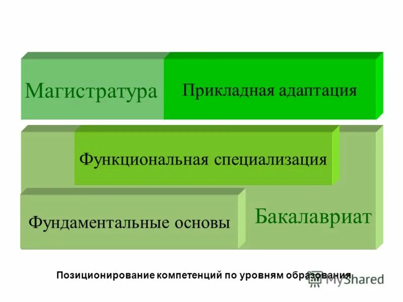 функциональная адаптация