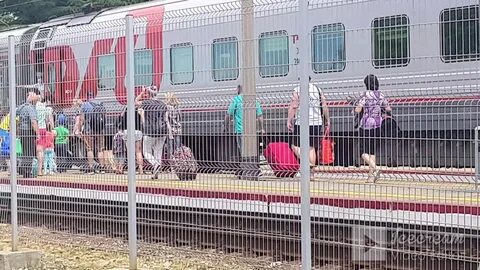 Ржд лазаревское электричка